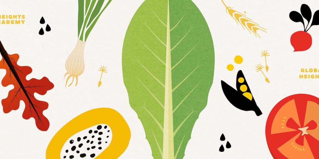 Illustrations of fruits and vegetables